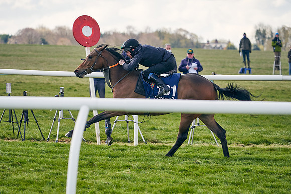 2021-04-12-Dominic-James-Craven-Breeze-Up-Sales-1216
