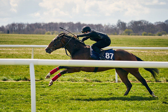 2021-04-12-Dominic-James-Craven-Breeze-Up-Sales-1143