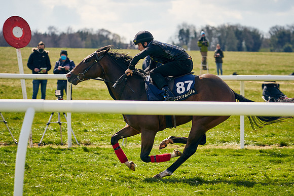 2021-04-12-Dominic-James-Craven-Breeze-Up-Sales-1146