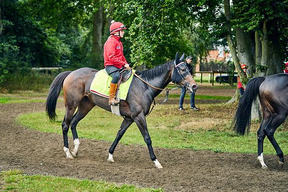 2021-08-25-Dominic-James-0105