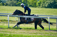 2021-06-09-Dominic-James-4977