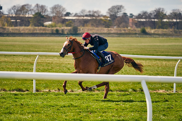 2021-04-12-Dominic-James-Craven-Breeze-Up-Sales-1111