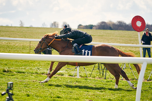 2021-04-12-Dominic-James-Craven-Breeze-Up-Sales-1088