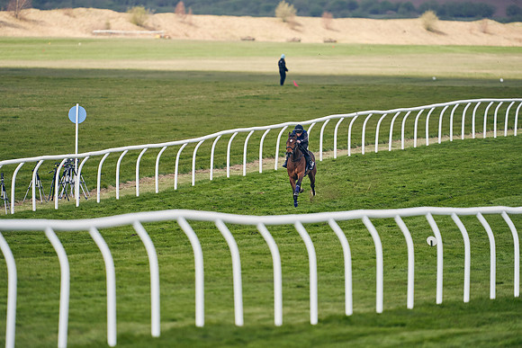 2021-04-12-Dominic-James-Craven-Breeze-Up-Sales-1245