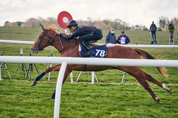 2021-04-12-Dominic-James-Craven-Breeze-Up-Sales-1229