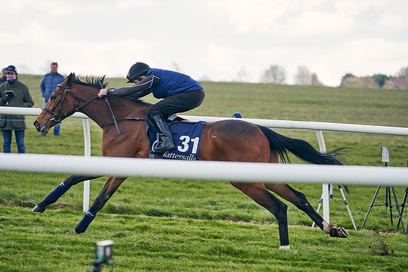 2021-04-12-Dominic-James-Craven-Breeze-Up-Sales-1255