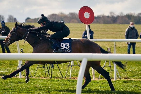 2021-04-12-Dominic-James-Craven-Breeze-Up-Sales-1195