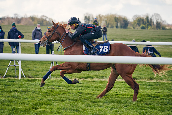 2021-04-12-Dominic-James-Craven-Breeze-Up-Sales-1227