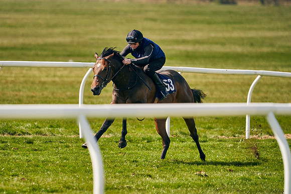 2021-04-12-Dominic-James-Craven-Breeze-Up-Sales-1124