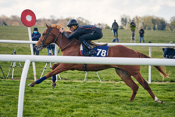 2021-04-12-Dominic-James-Craven-Breeze-Up-Sales-1228