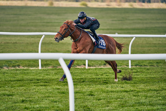 2021-04-12-Dominic-James-Craven-Breeze-Up-Sales-1219