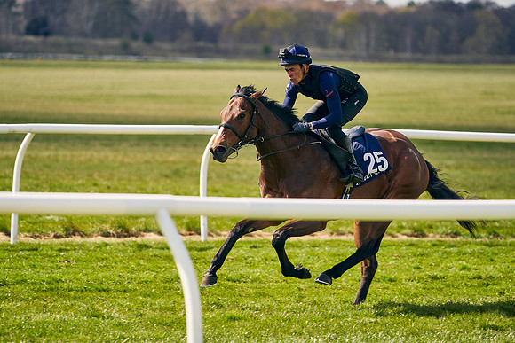 2021-04-12-Dominic-James-Craven-Breeze-Up-Sales-1100