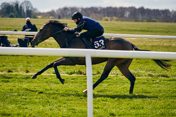 2021-04-12-Dominic-James-Craven-Breeze-Up-Sales-1132