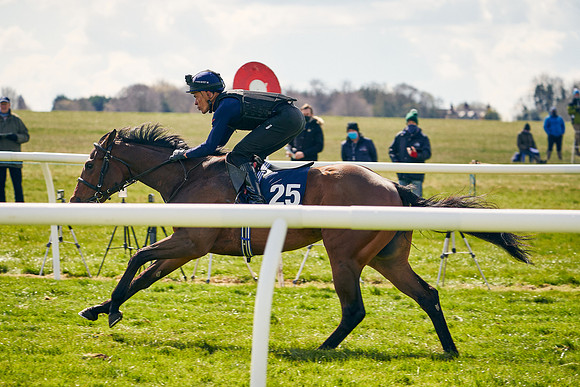 2021-04-12-Dominic-James-Craven-Breeze-Up-Sales-1108