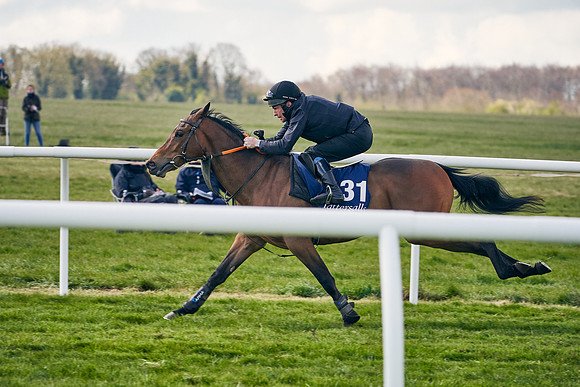 2021-04-12-Dominic-James-Craven-Breeze-Up-Sales-1215