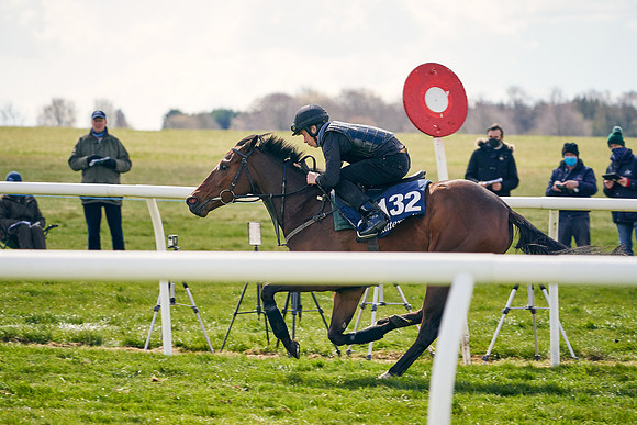 2021-04-12-Dominic-James-Craven-Breeze-Up-Sales-1094