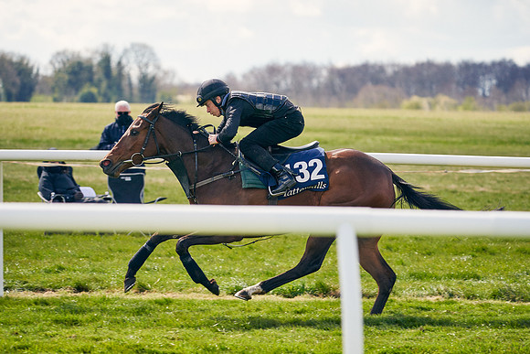 2021-04-12-Dominic-James-Craven-Breeze-Up-Sales-1091