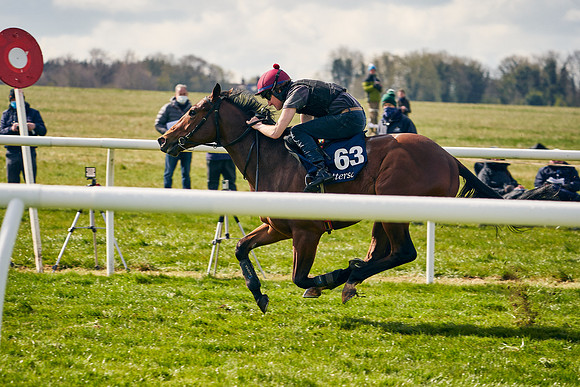 2021-04-12-Dominic-James-Craven-Breeze-Up-Sales-1177