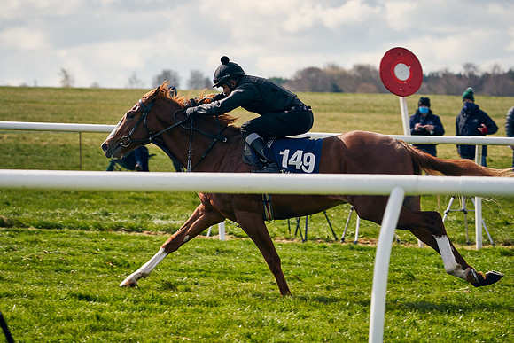 2021-04-12-Dominic-James-Craven-Breeze-Up-Sales-1204