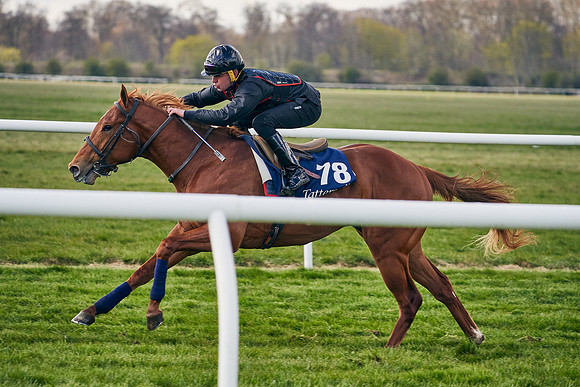 2021-04-12-Dominic-James-Craven-Breeze-Up-Sales-1222