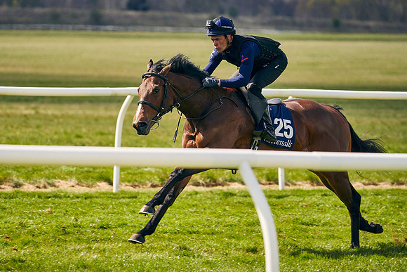 2021-04-12-Dominic-James-Craven-Breeze-Up-Sales-1102