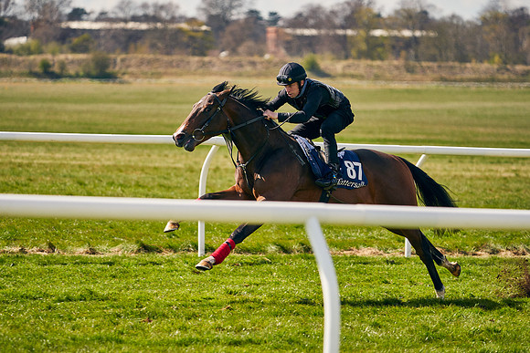 2021-04-12-Dominic-James-Craven-Breeze-Up-Sales-1142
