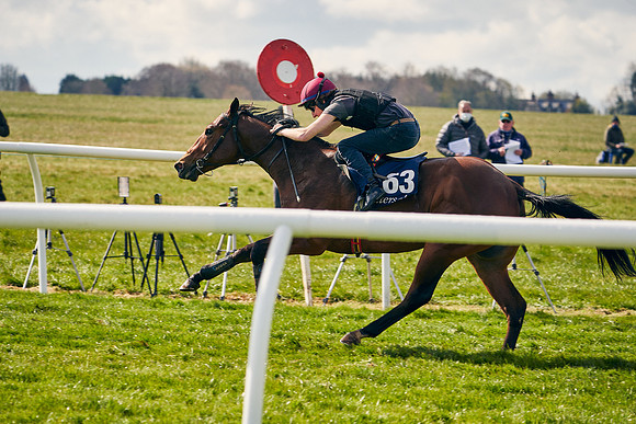 2021-04-12-Dominic-James-Craven-Breeze-Up-Sales-1179
