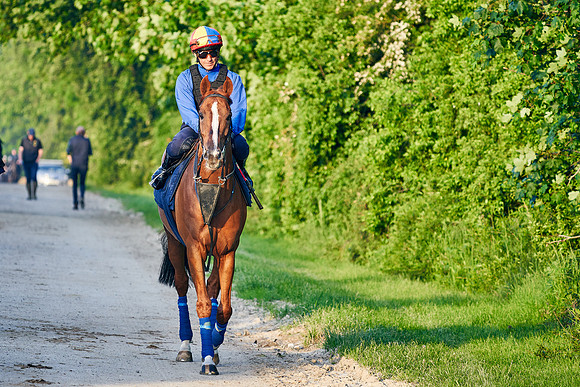 Stradivarius under Frankie