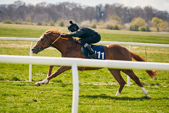 2021-04-12-Dominic-James-Craven-Breeze-Up-Sales-1079