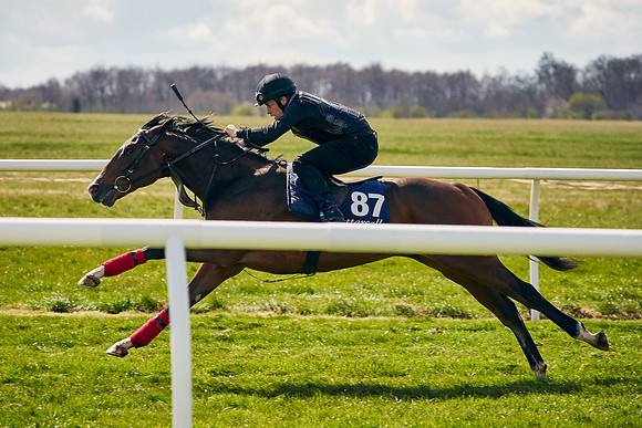 2021-04-12-Dominic-James-Craven-Breeze-Up-Sales-1144