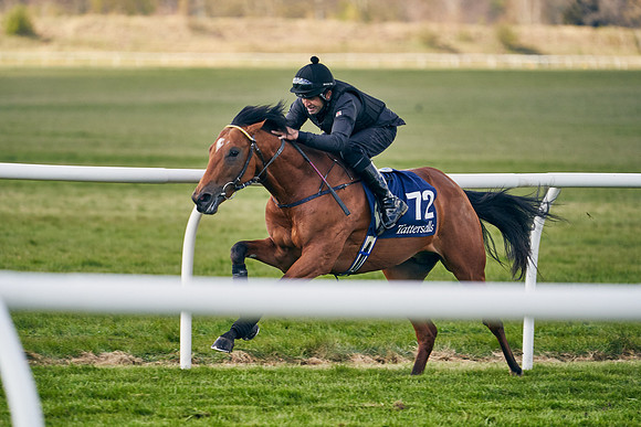 2021-04-12-Dominic-James-Craven-Breeze-Up-Sales-1234