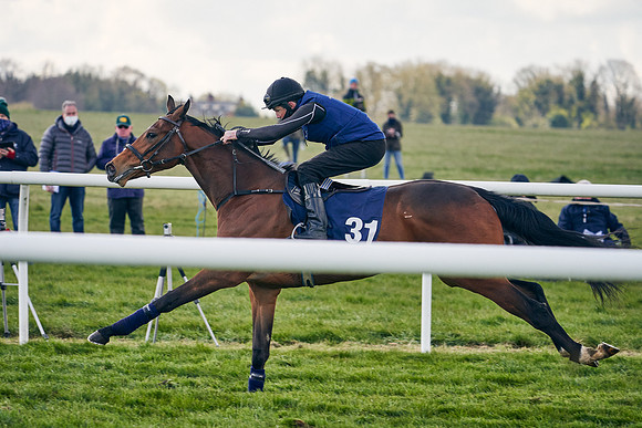 2021-04-12-Dominic-James-Craven-Breeze-Up-Sales-1253