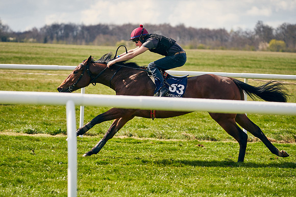 2021-04-12-Dominic-James-Craven-Breeze-Up-Sales-1176