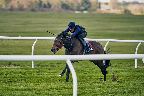 2021-04-12-Dominic-James-Craven-Breeze-Up-Sales-1260