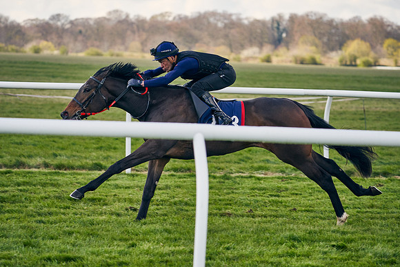 2021-04-12-Dominic-James-Craven-Breeze-Up-Sales-1264