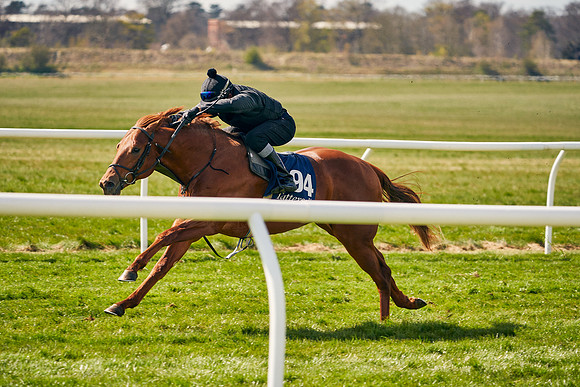 2021-04-12-Dominic-James-Craven-Breeze-Up-Sales-1155