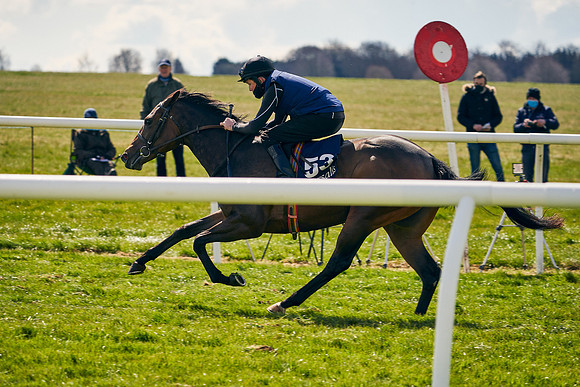 2021-04-12-Dominic-James-Craven-Breeze-Up-Sales-1136