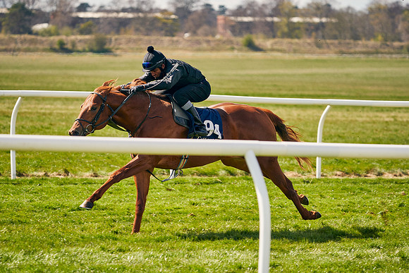 2021-04-12-Dominic-James-Craven-Breeze-Up-Sales-1156