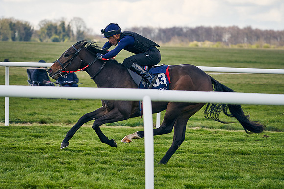 2021-04-12-Dominic-James-Craven-Breeze-Up-Sales-1266