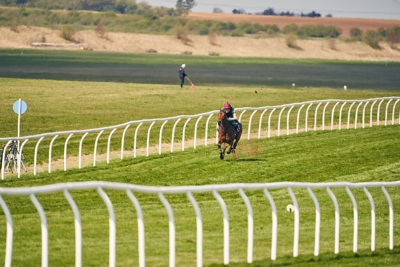 2021-04-12-Dominic-James-Craven-Breeze-Up-Sales-1167