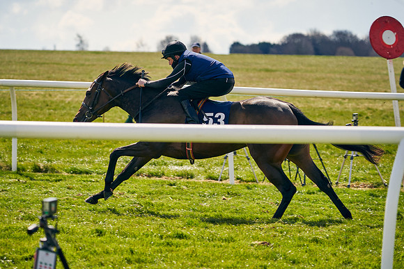 2021-04-12-Dominic-James-Craven-Breeze-Up-Sales-1137