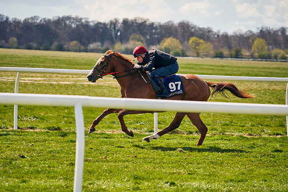 2021-04-12-Dominic-James-Craven-Breeze-Up-Sales-1114