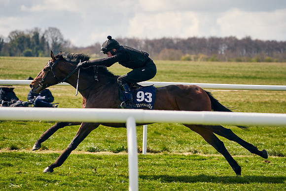 2021-04-12-Dominic-James-Craven-Breeze-Up-Sales-1193