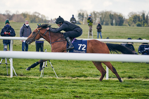 2021-04-12-Dominic-James-Craven-Breeze-Up-Sales-1241