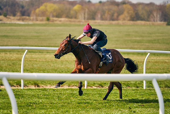 2021-04-12-Dominic-James-Craven-Breeze-Up-Sales-1169