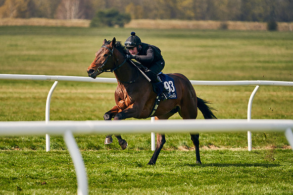 2021-04-12-Dominic-James-Craven-Breeze-Up-Sales-1184