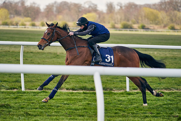 2021-04-12-Dominic-James-Craven-Breeze-Up-Sales-1249