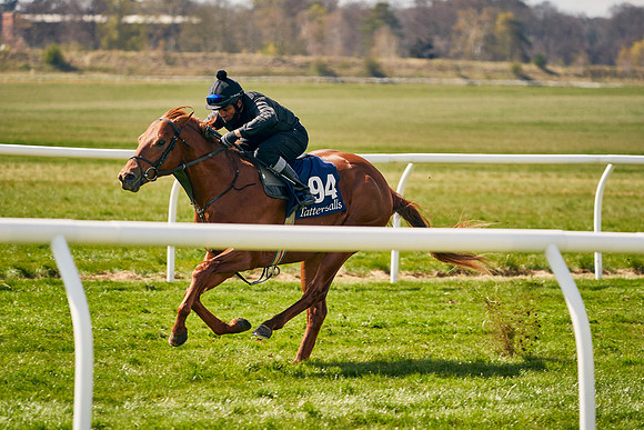 2021-04-12-Dominic-James-Craven-Breeze-Up-Sales-1153