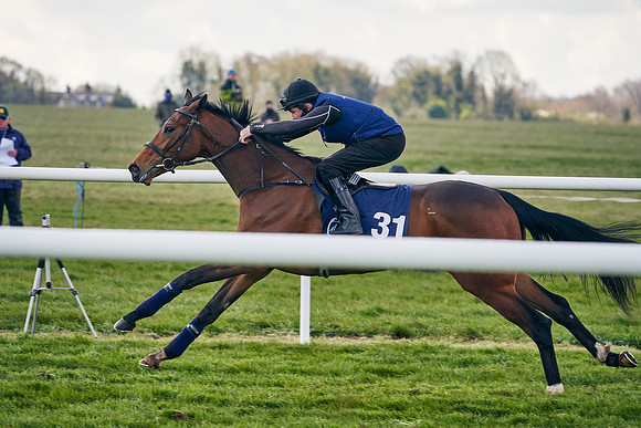 2021-04-12-Dominic-James-Craven-Breeze-Up-Sales-1252