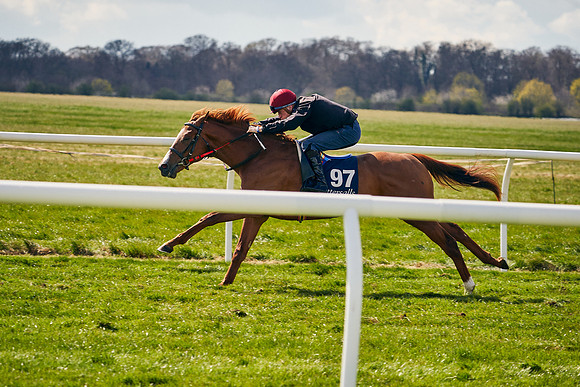 2021-04-12-Dominic-James-Craven-Breeze-Up-Sales-1116